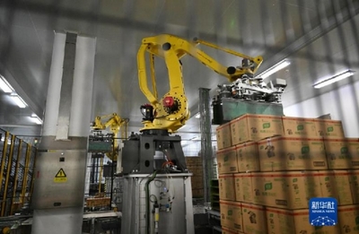 “舌尖上”的智能制造 探訪全球首家調(diào)味品“燈塔工廠”的包裝機械革命